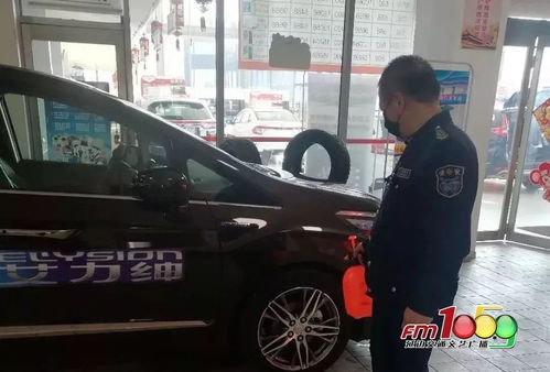汽车销售企业陆续复工 线上线下看2020新款车