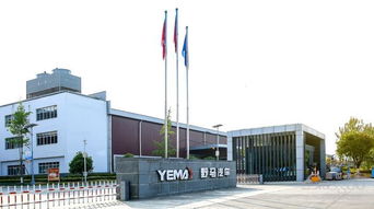 雷丁汽车战略重组野马 进军高速电动车市场