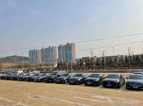 丽水凯迪拉克车友会微信群 瞧仔细啦,丽水凯迪拉克车友会在这