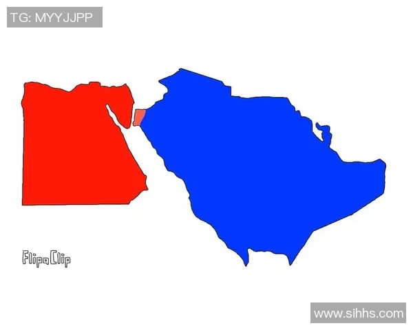 沙特阿拉伯与埃及的历史文化对比与现代发展探讨